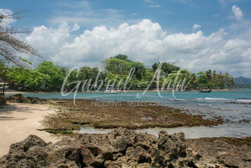 Manzanillo, Limón (Costa Rica)
