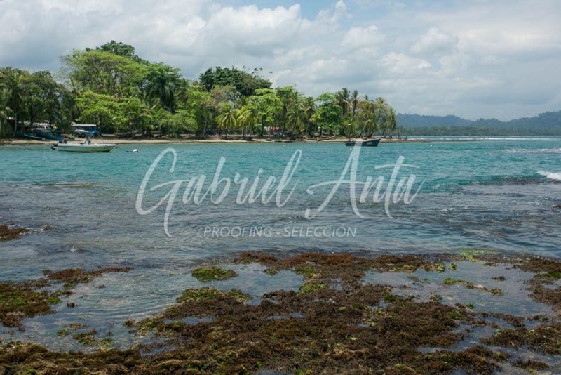 Manzanillo, Limón (Costa Rica)